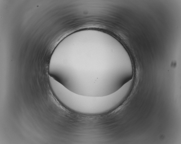 X0000114611369200911171025