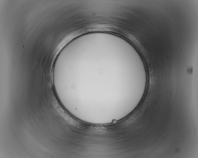 X0000114611370200911171025