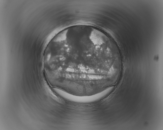 X0000114611371200911171025