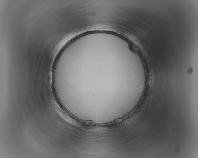 X0000114611372200911171025