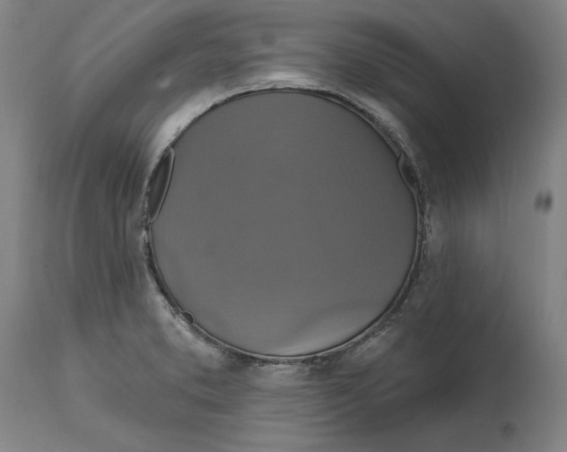 X0000114611373200911171025