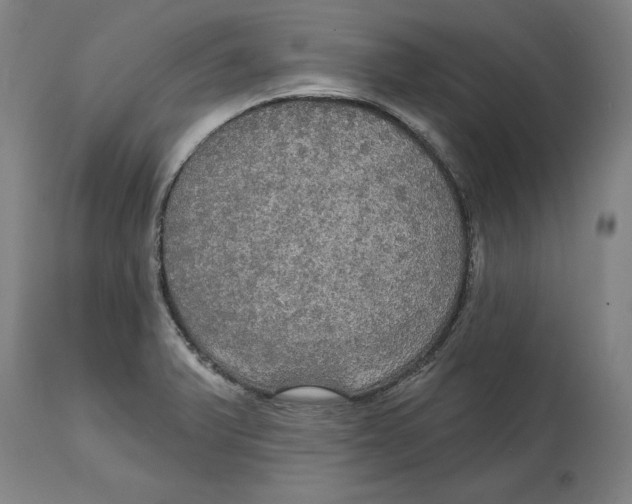 X0000114611375200911171025