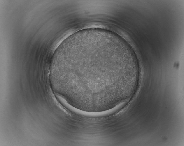 X0000114611377200911171025