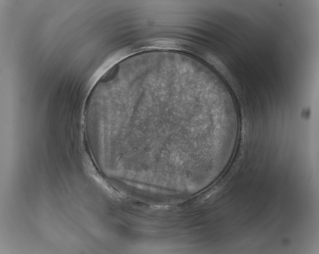 X0000114611378200911171025