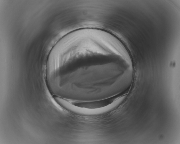 X0000114611383200911171025