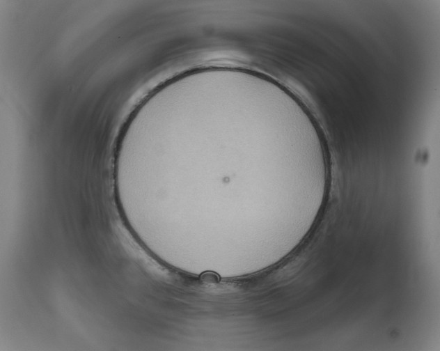 X0000114611384200911171025