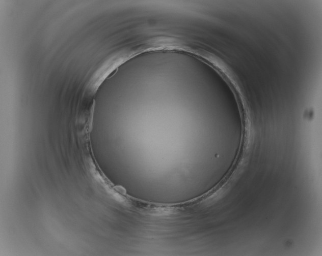 X0000114611385200911171025