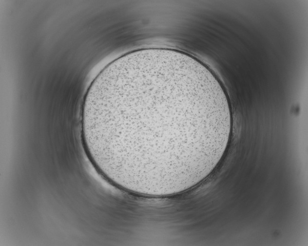 X0000114611387200911171025