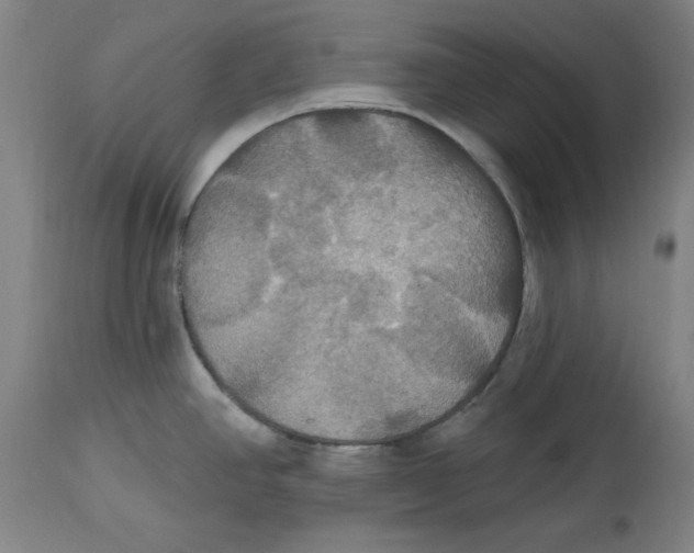 X0000114611390200911171025