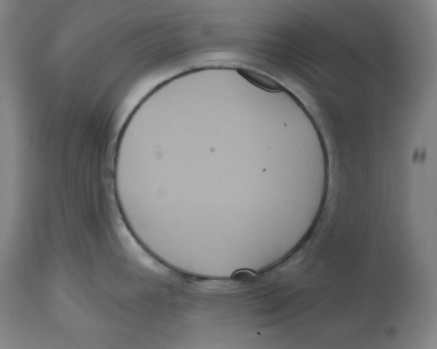 X0000114611392200911171025