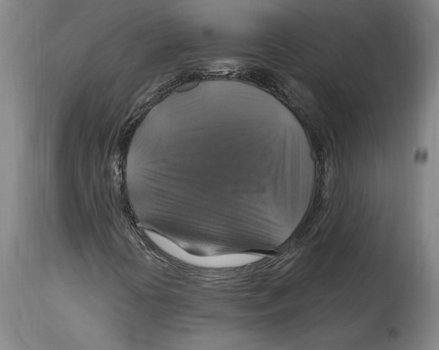 X0000114611394200911171024