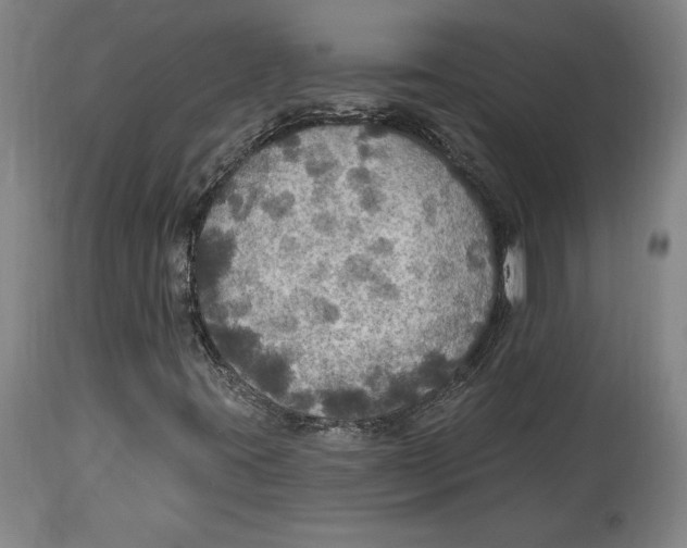 X0000114611395200911171024