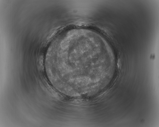 X0000114611396200911171024