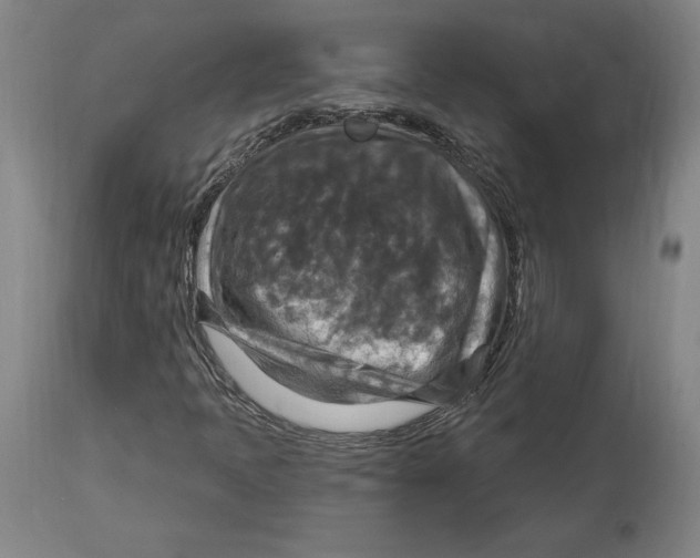 X0000114611397200911171024