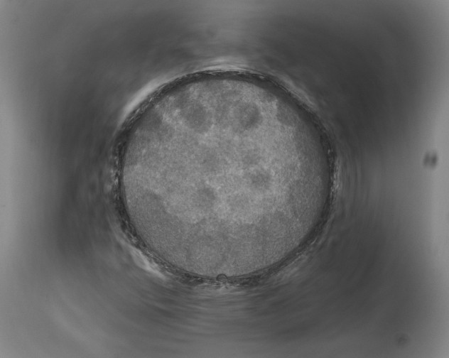 X0000114611400200911171024