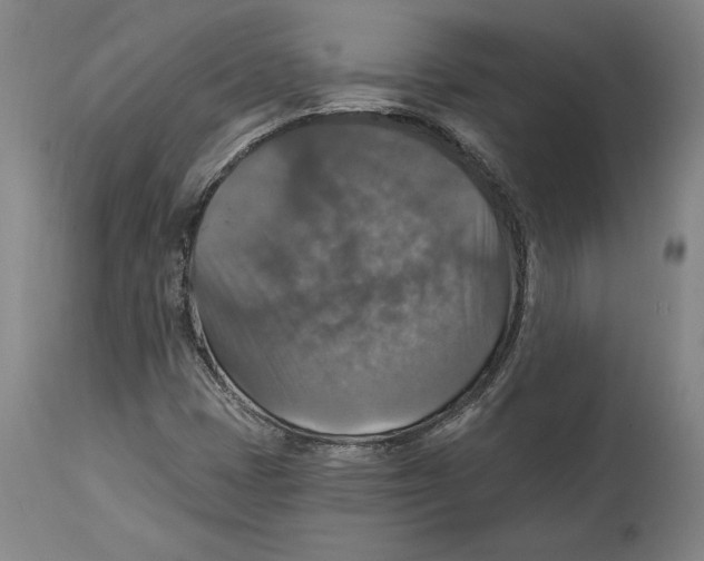 X0000114611401200911171024