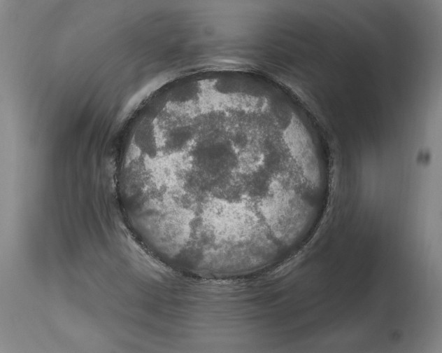 X0000114611402200911171024