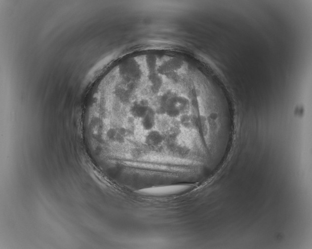 X0000114611403200911171024