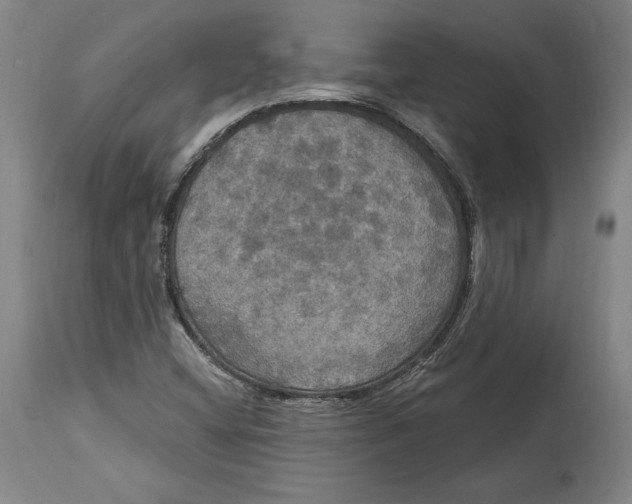 X0000114611404200911171024