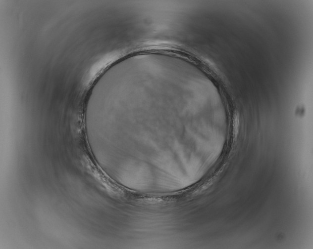 X0000114611405200911171024