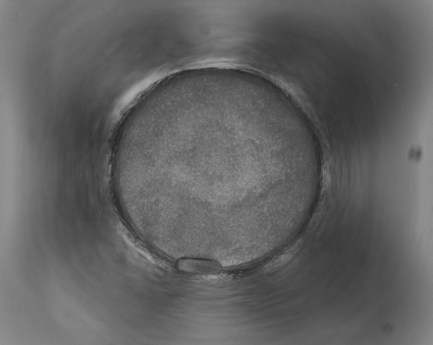 X0000114611406200911171024