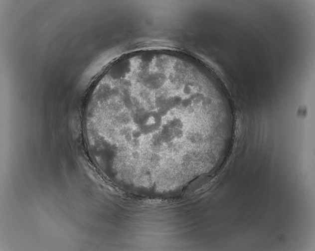 X0000114611407200911171024