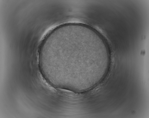 X0000114611408200911171024