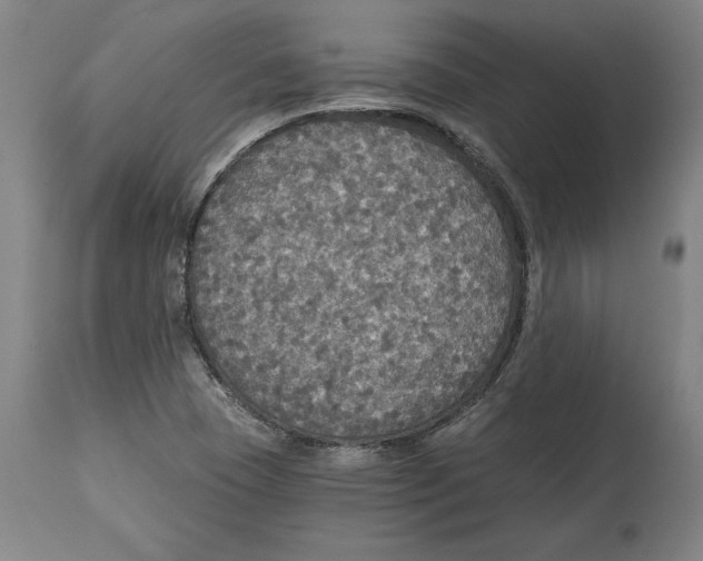 X0000114611409200911171024