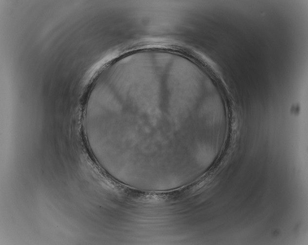 X0000114611411200911171024