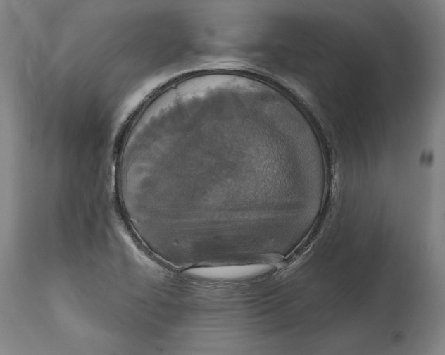 X0000114611414200911171024