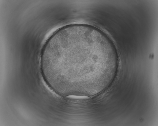 X0000114611416200911171024