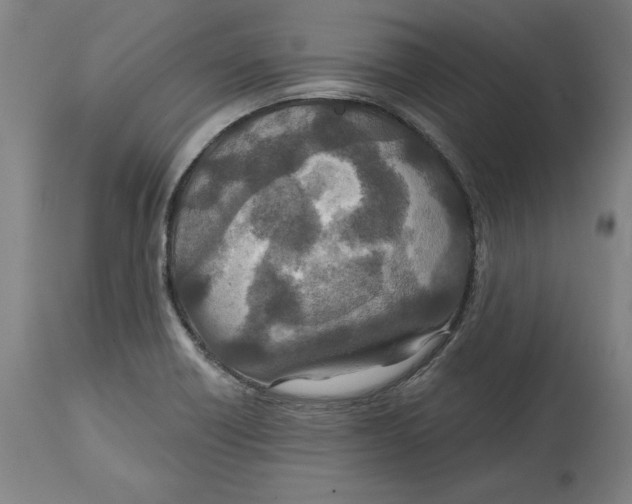 X0000114611418200911171025