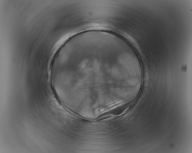 X0000114611419200911171025