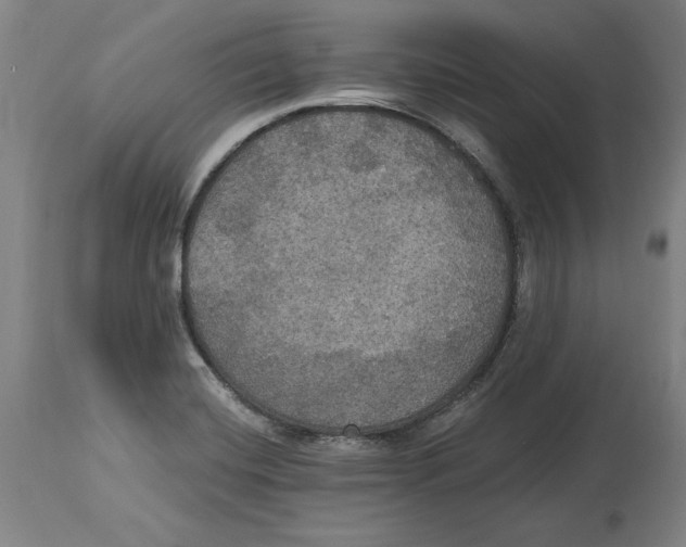 X0000114611420200911171025