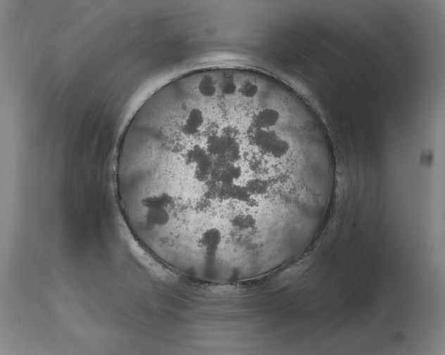 X0000114611421200911171025