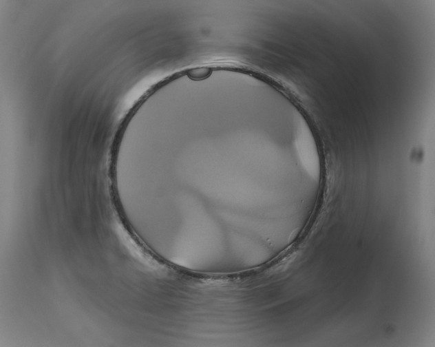 X0000114611422200911171025