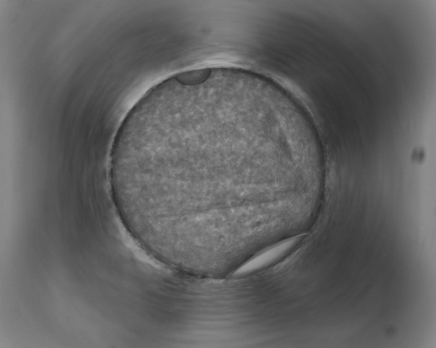 X0000114611423200911171025