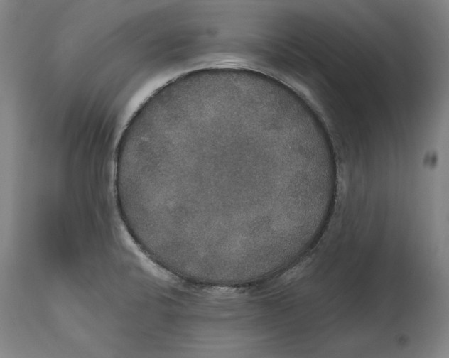 X0000114611424200911171025