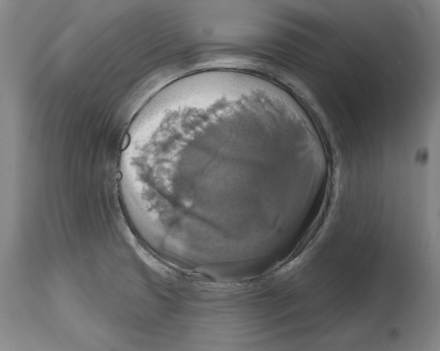 X0000114611425200911171025