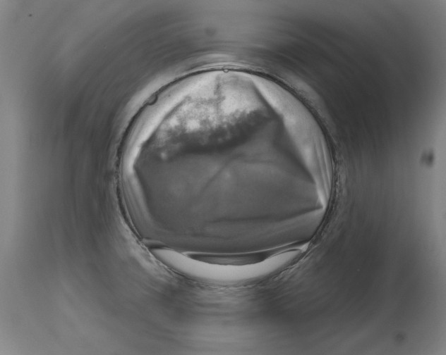 X0000114611427200911171025