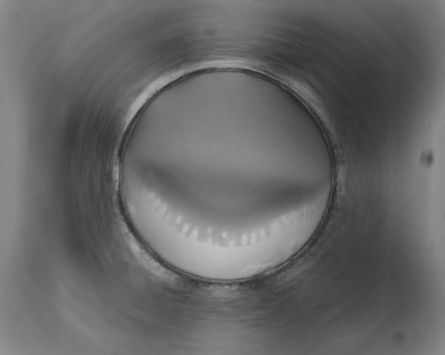 X0000114611428200911171025