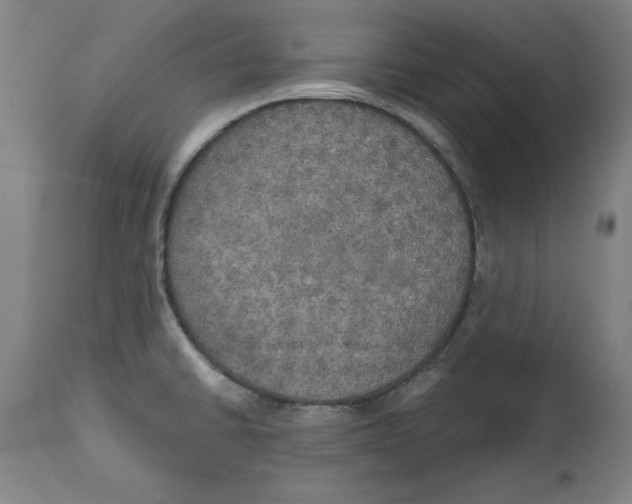 X0000114611430200911171025