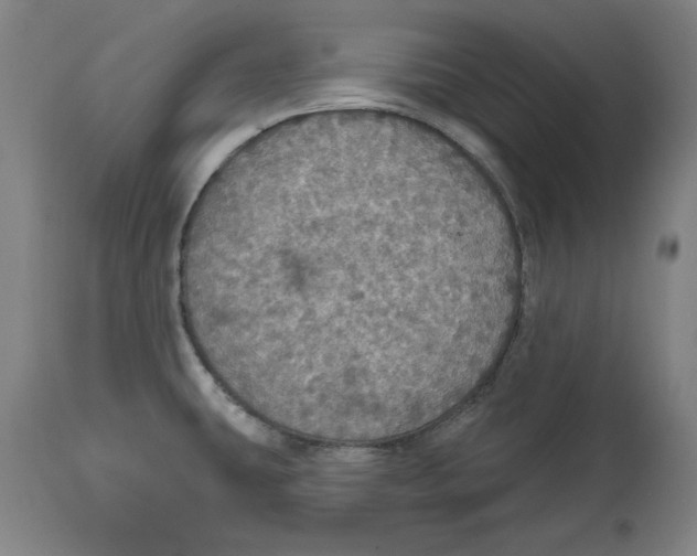 X0000114611431200911171025