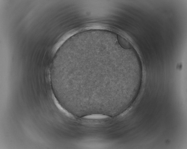 X0000114611433200911171025