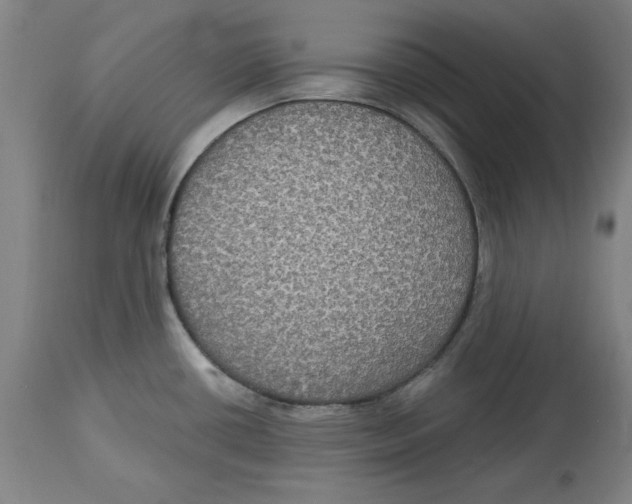 X0000114611434200911171025