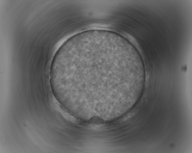 X0000114611435200911171025