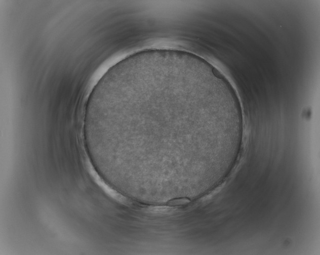 X0000114611437200911171025