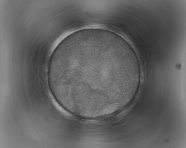 X0000114611438200911171025