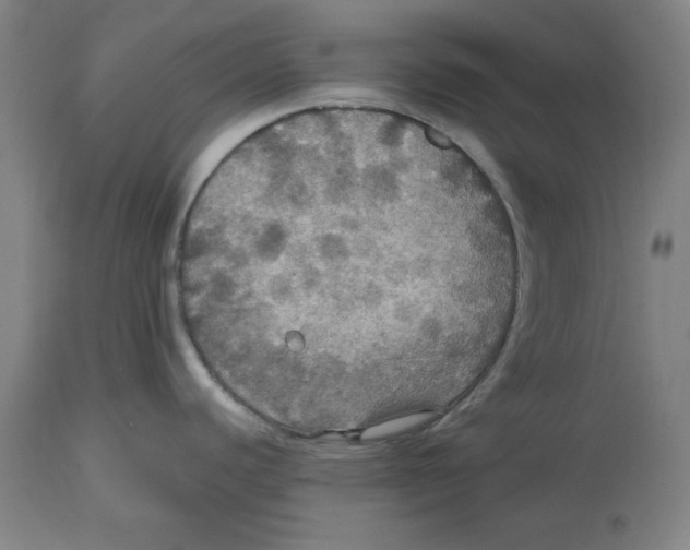 X0000114611440200911171025