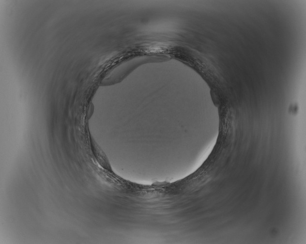 X0000114611441200911171024